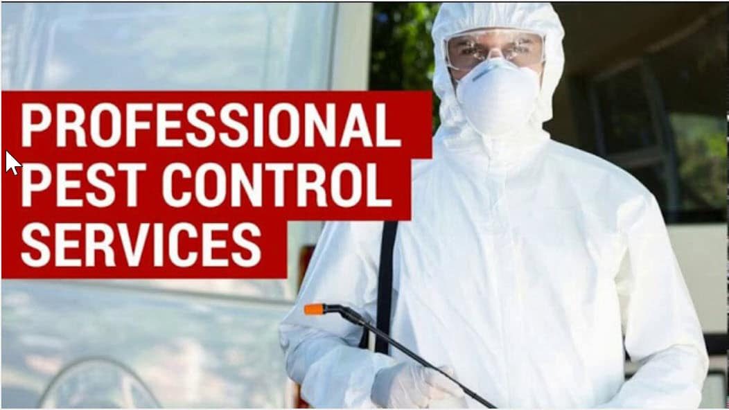 Commercial Pest Control Service For Mice Infestation