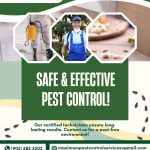 Maximum pest control services can help get rid of pest Fast.