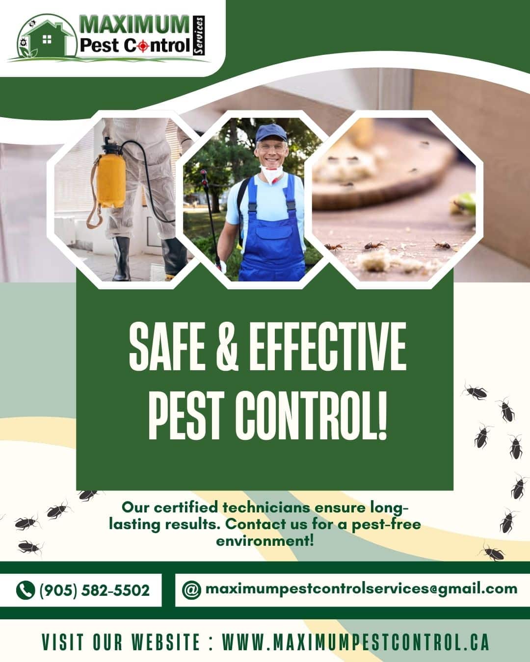 Maximum pest control services can help get rid of pest Fast.