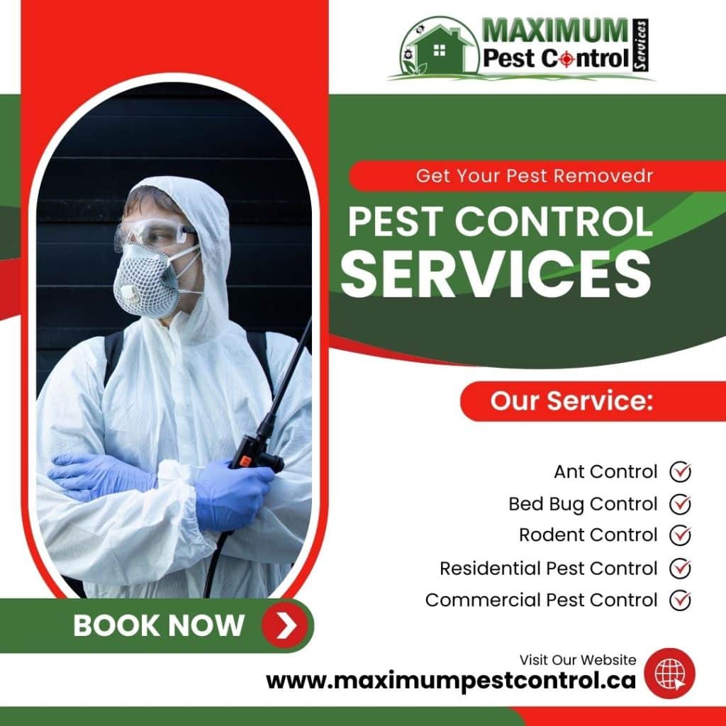 Pest control Inspection