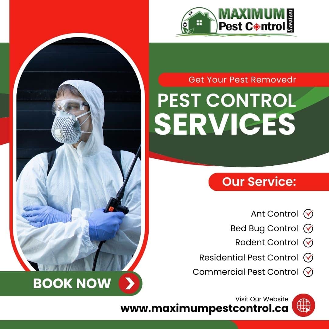 Pest control Inspection 