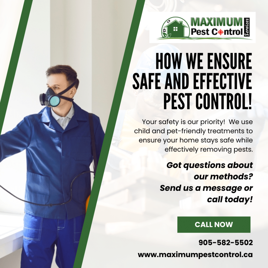 Banish bed bugs with Maximum Pest Control Services