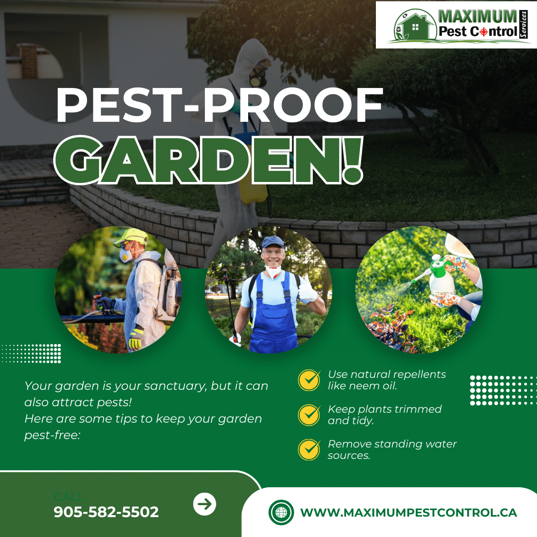 pest control service near me 905-582-5502