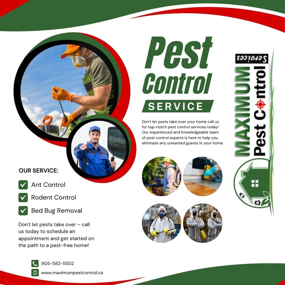 Residential pest control service 905-582-5502