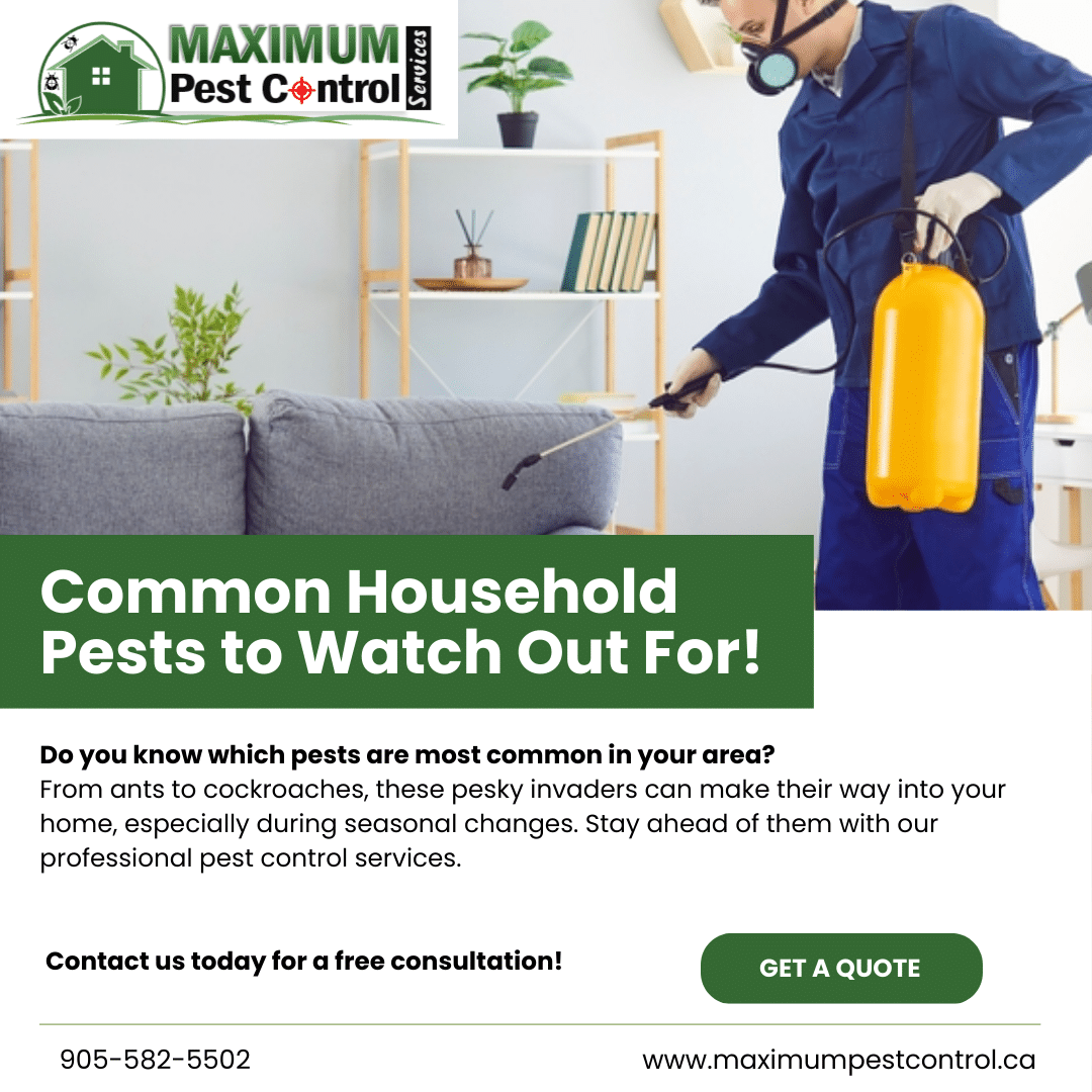 keep pests out 905-582-5502