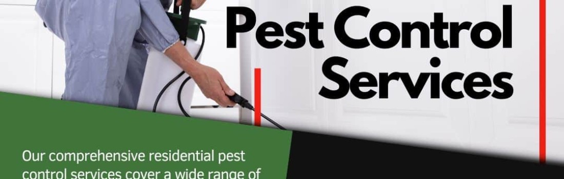 Blog - Maximum Pest Control Services